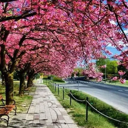 In - Thermalbad 20667 * Zalakaros