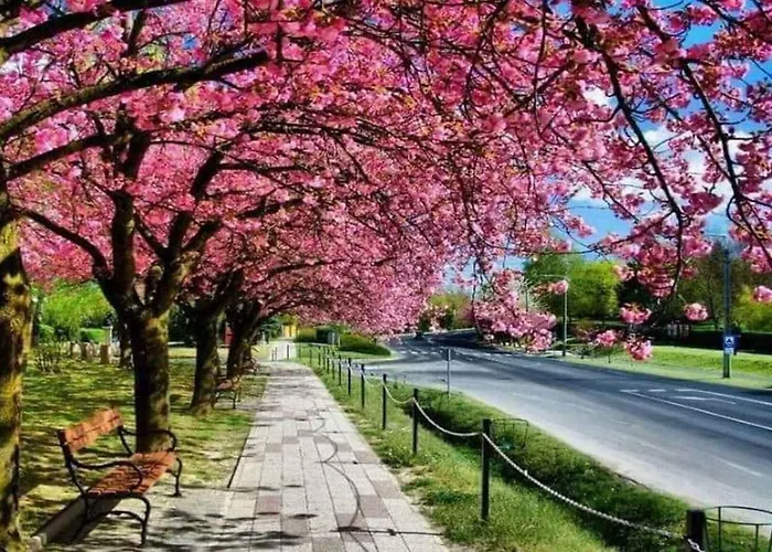 In - Thermalbad 20667 * Zalakaros